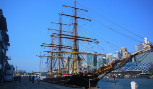 雪梨美食散步｜從The Rocks到Fish Market的頂級海鮮之旅