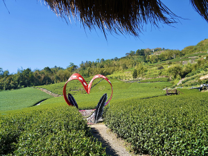 雲霧裡的部落慢旅｜嘉義縣部落旅遊節 體驗鄒族山林日常